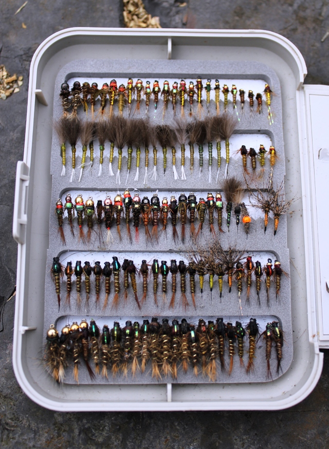 Selection-of-Nymphs