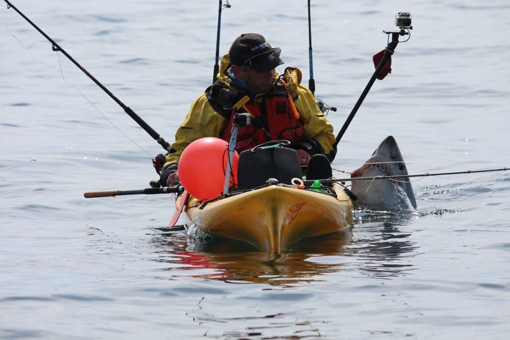 Graham-Smith-Shark-from-a-kayak-Photo-Martin-Maloney
