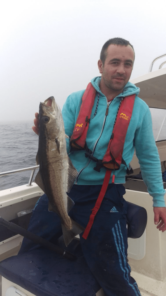 Pollack e coalfish per cominciare: scarsi gli sgombri