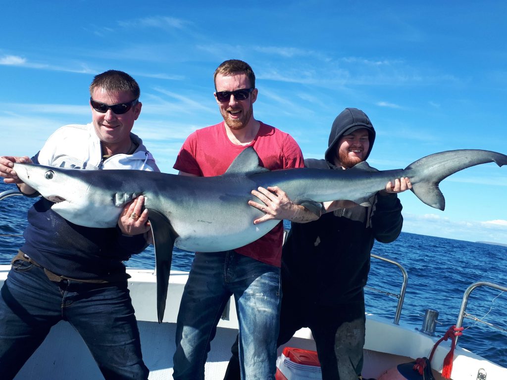 Alan Dartnel ¨con un blue shark stimato 45 kg