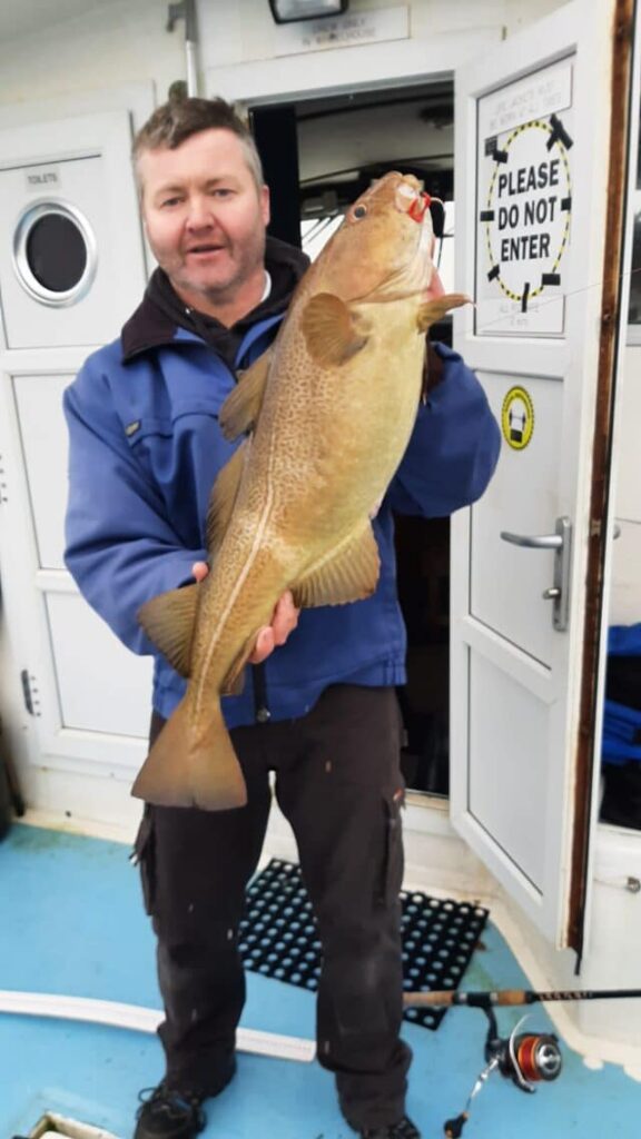 Fine Donegal cod