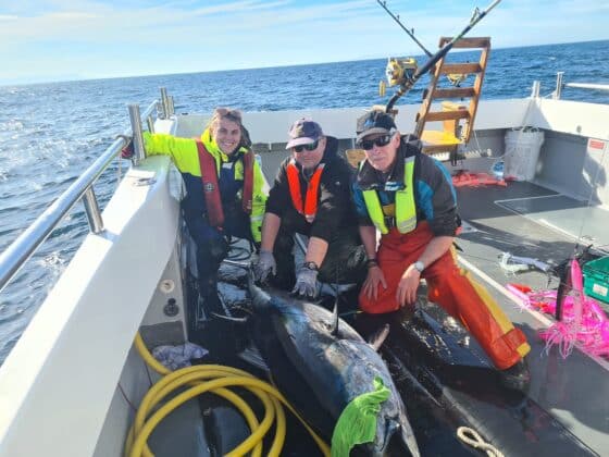 Marine Institute tagging bluefin tuna in Donegal Bay